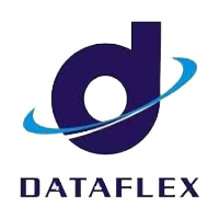 Dataflex logo